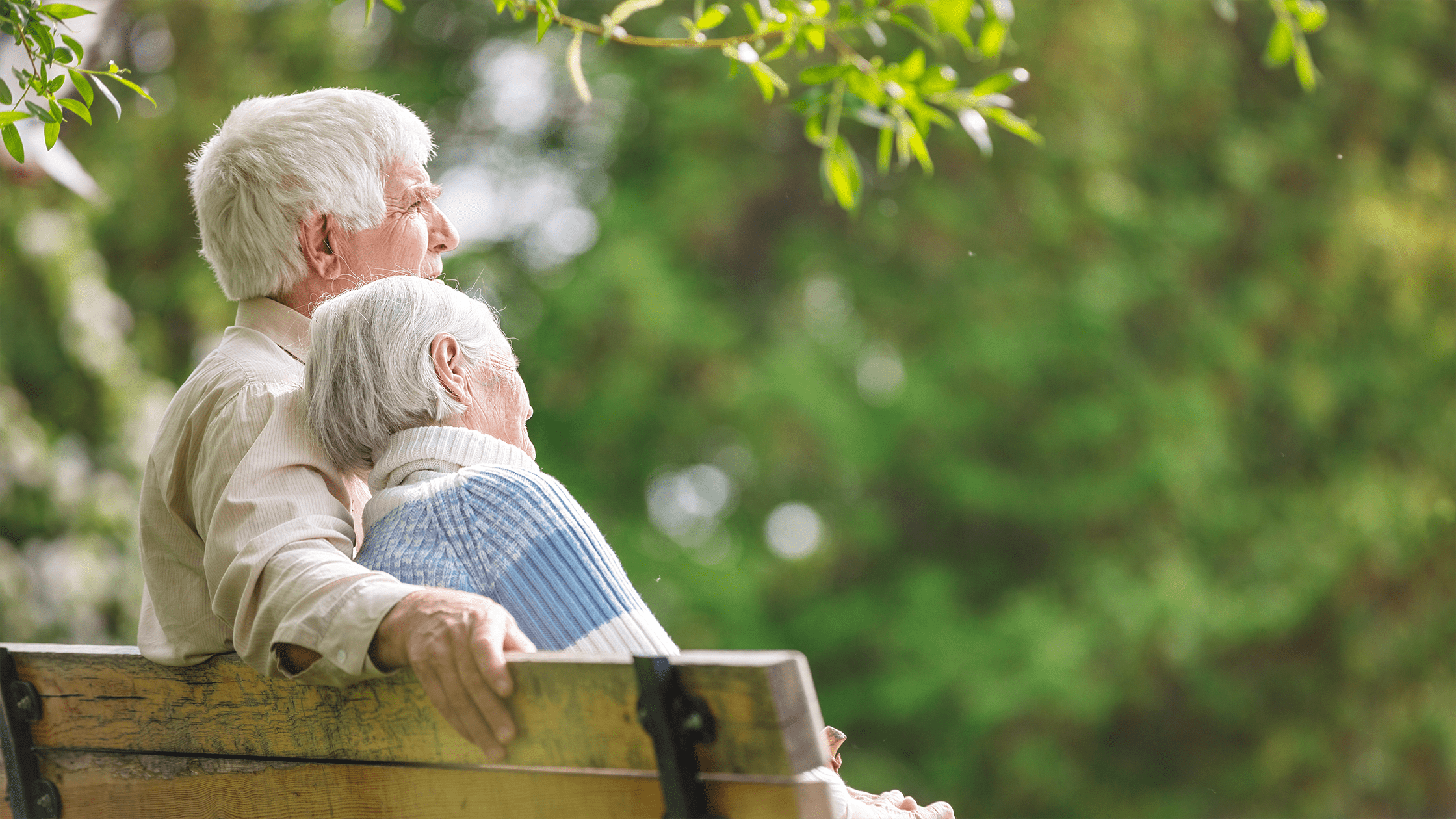 Older adults sitting on a park bench surrounded by greenery, representing retirement planning, Social Security benefits, and financial security in retirement.